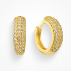 Dollar Bill Earrings - EVRYJEWELS