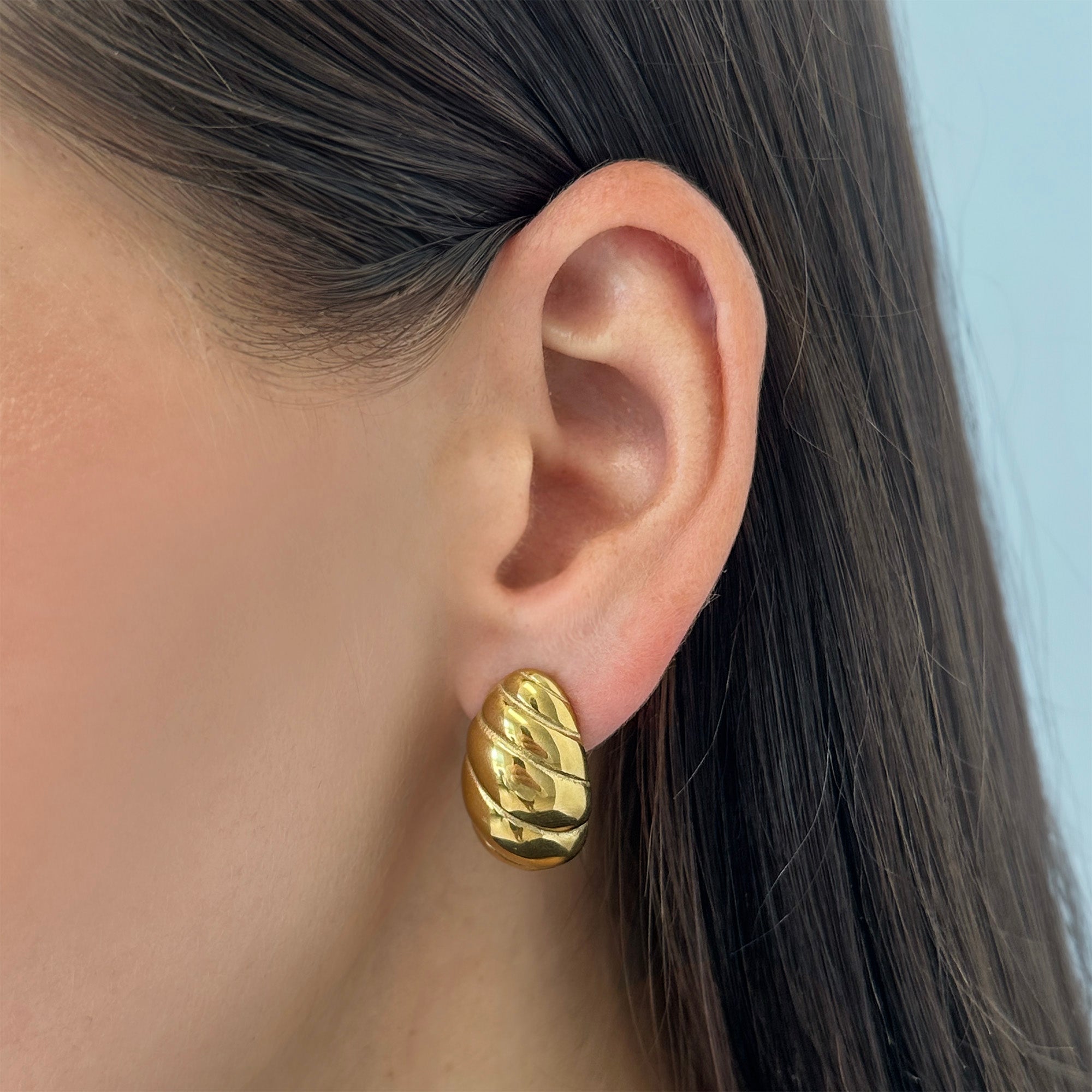 Twist Shell Dome Earrings