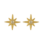 Radiant Star Earrings - EVRYJEWELS